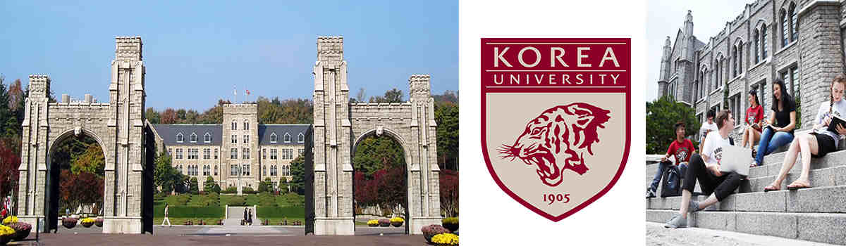 Образование в южной корее университет. Университет sky в южной корее. Korean university korean language. Кореан юниверсити. Корейские студенты парни.